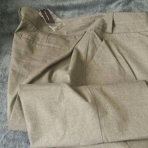 The Limited Dress Pant